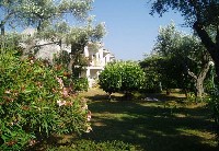  Villa Oliva