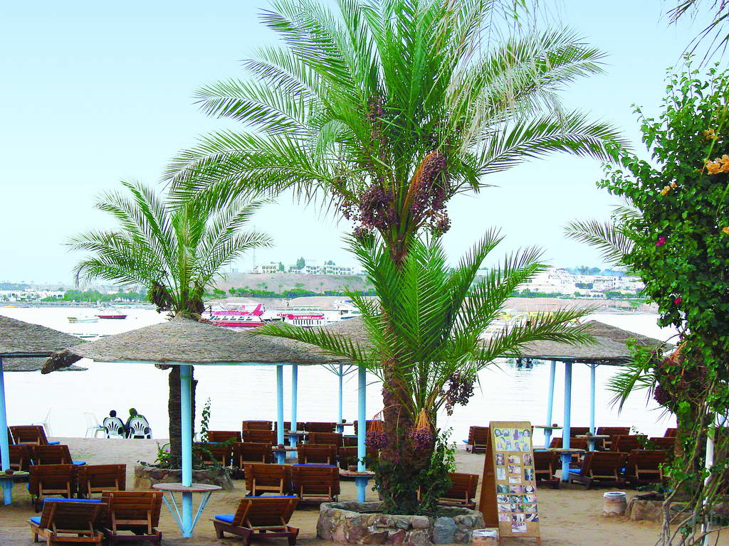  Helnan Marina Sharm Hotel