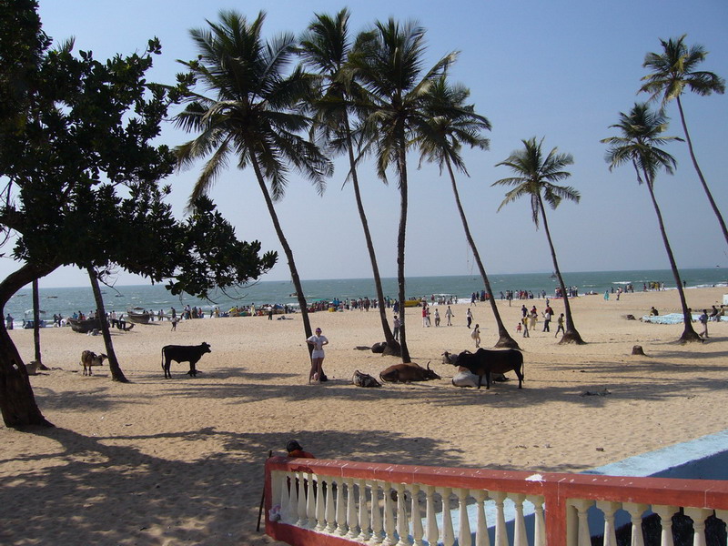  Bollywood Sea Queen Beach Resort