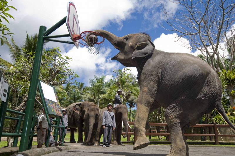  Elephant Safari Park Lodge