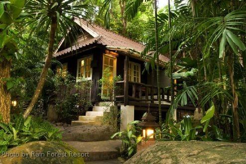  Rain Forest Resort