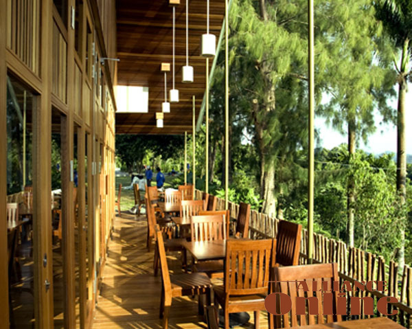  Rain Forest Resort