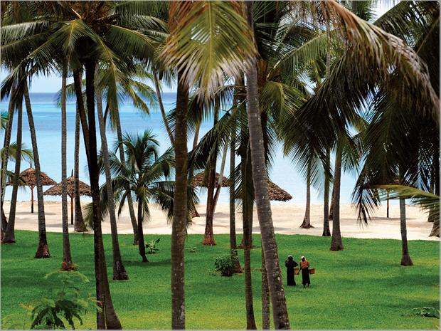  Dream of  Zanzibar