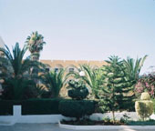  Alyssa (Thlassa Sousse)