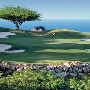  Ritz Carton Golf & Spa Resort